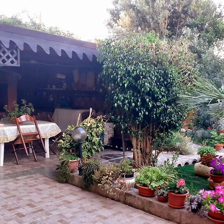 B&B Giomar Sardegna Nord Ovest Campanedda Eksteriør bilde