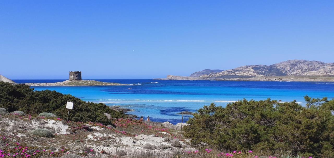 B&B Giomar Sardegna Nord Ovest Campanedda Eksteriør bilde