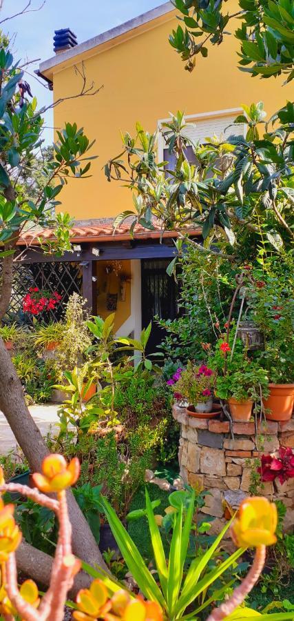 B&B Giomar Sardegna Nord Ovest Campanedda Eksteriør bilde